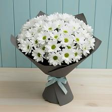 Букет цветов из:  Хризантемы в Сосновоборске Красноярского края