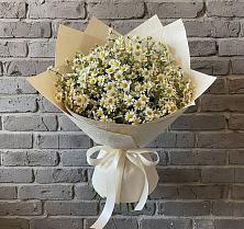 Букет цветов из:  Ромашки #REPLACE_PRED# Сосновоборске Красноярского края
