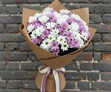 Букет цветов из:  Хризантемы в Сосновоборске Красноярского края