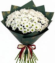 Букет цветов из:  Хризантемы #REPLACE_PRED# Сосновоборске Красноярского края