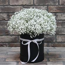 Цветочная композиция из Гипсофила в шляпной коробке #REPLACE_PRED# Сосновоборске Красноярского края
