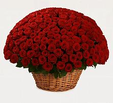 Премиум букет из: Розы #REPLACE_PRED# Сосновоборске Красноярского края