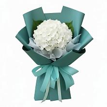 Букет цветов из:  Гортензия #REPLACE_PRED# Сосновоборске Красноярского края